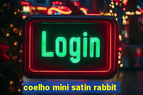 coelho mini satin rabbit